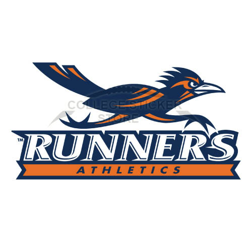 Diy Texas SA Roadrunners Iron-on Transfers (Wall Stickers)NO.6541